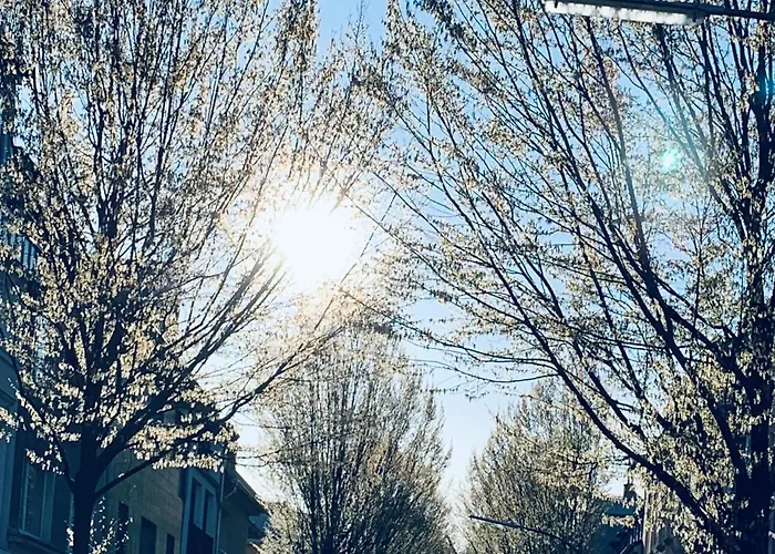 公寓 Zehuus - Historischer Charme 科隆